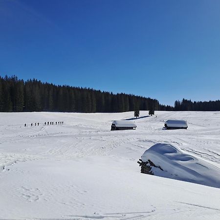 Villa Pokljuka زغورنجي المظهر الخارجي الصورة
