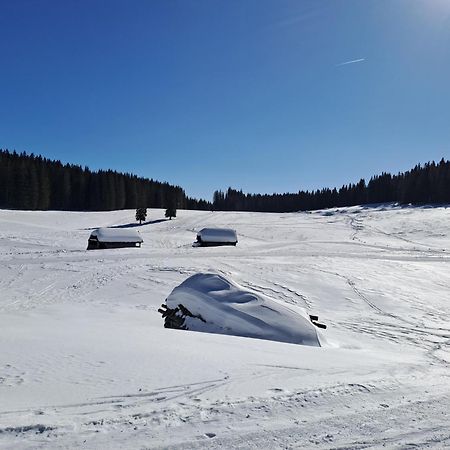 Villa Pokljuka زغورنجي المظهر الخارجي الصورة