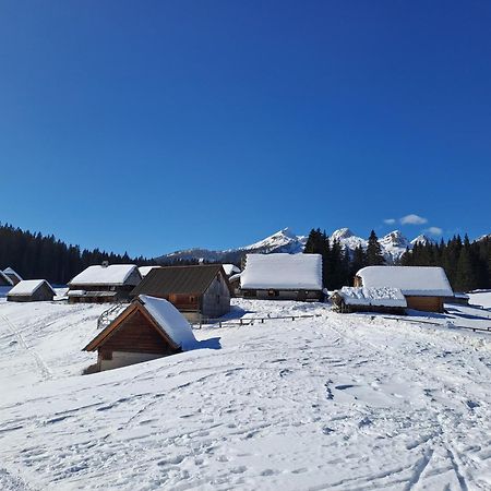Villa Pokljuka زغورنجي المظهر الخارجي الصورة