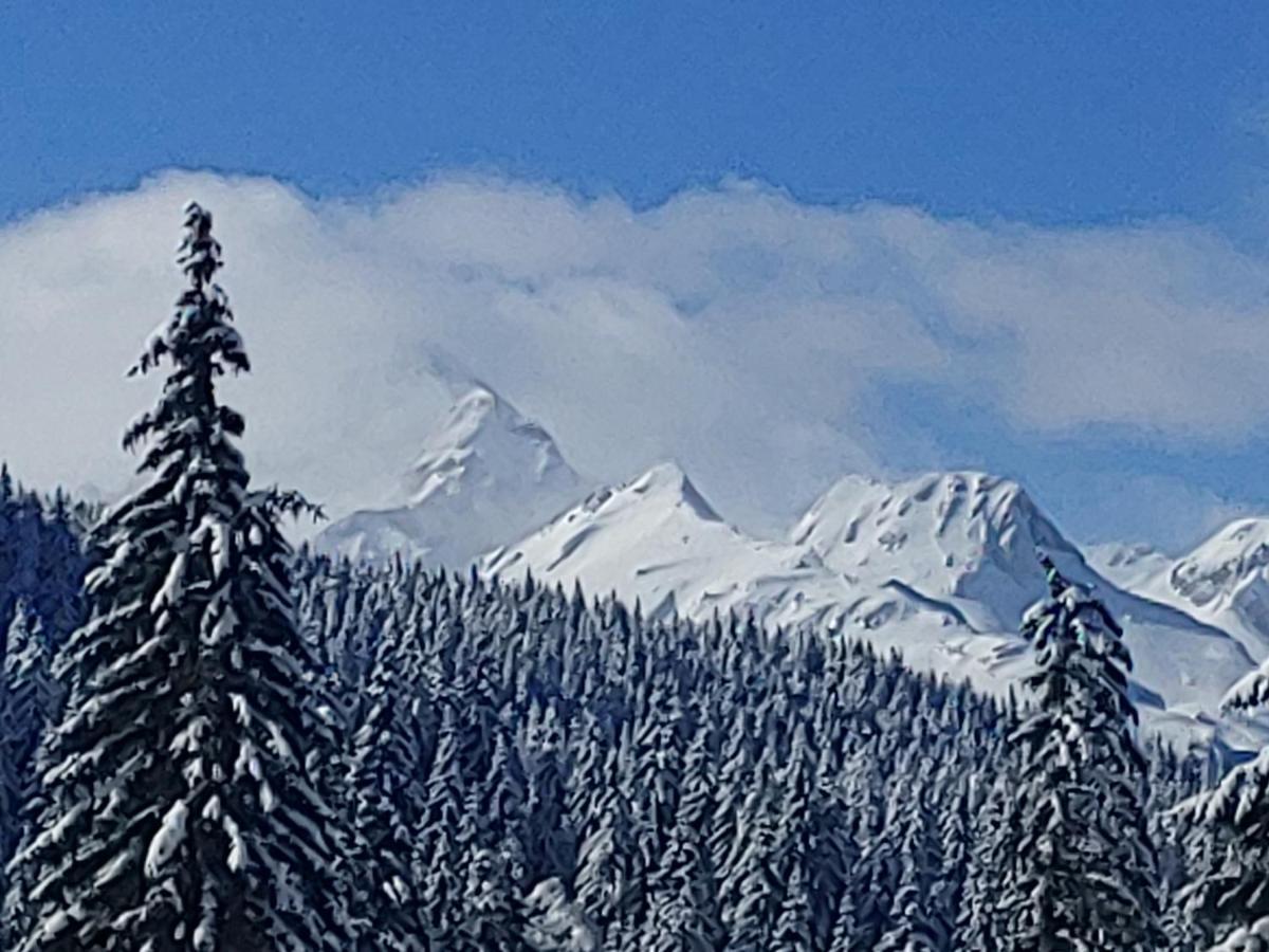 Villa Pokljuka زغورنجي المظهر الخارجي الصورة
