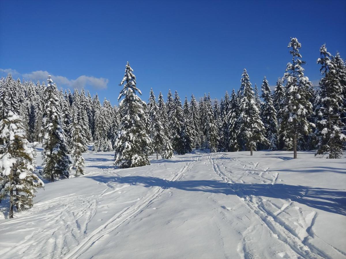 Villa Pokljuka زغورنجي المظهر الخارجي الصورة