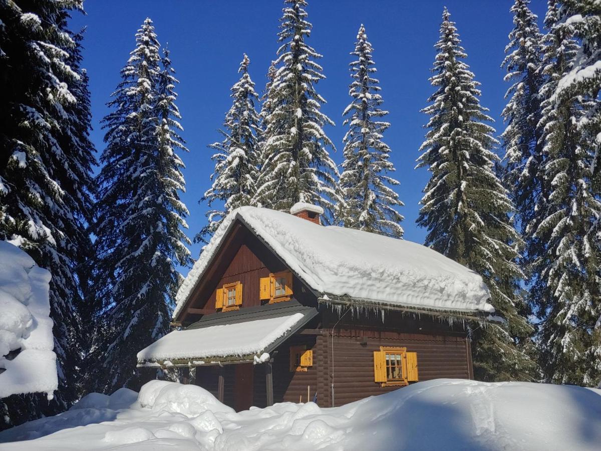 Villa Pokljuka زغورنجي المظهر الخارجي الصورة