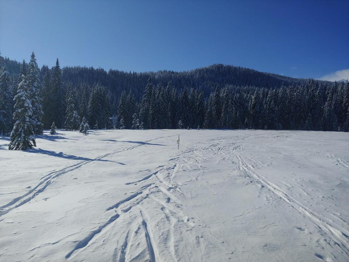 Villa Pokljuka زغورنجي المظهر الخارجي الصورة
