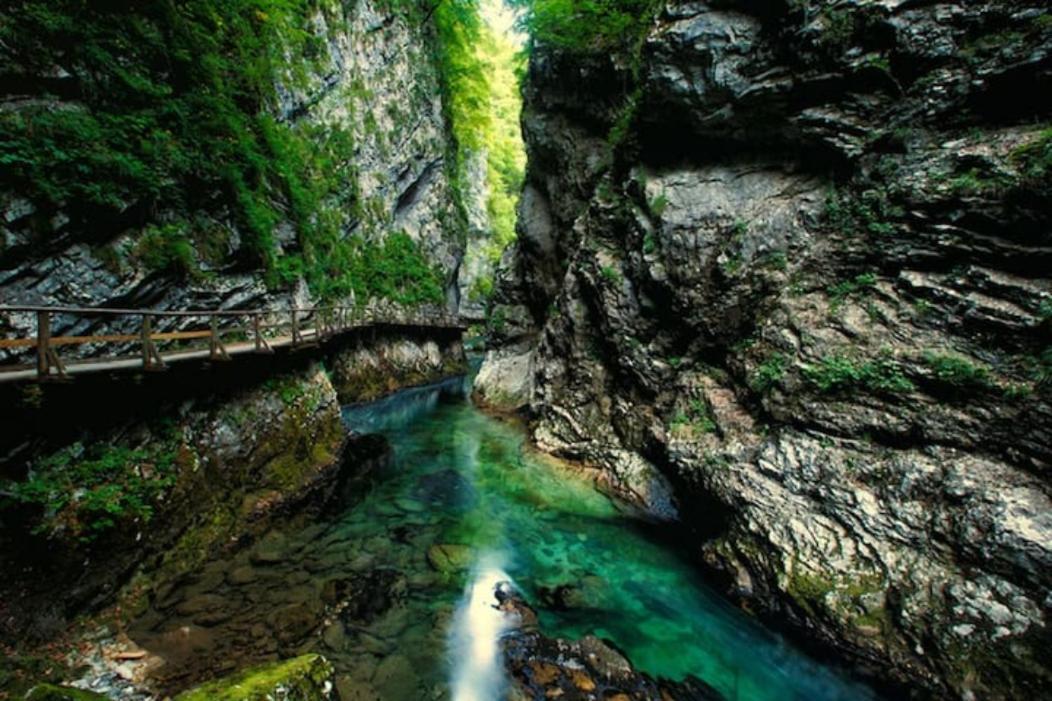 Villa Pokljuka زغورنجي المظهر الخارجي الصورة
