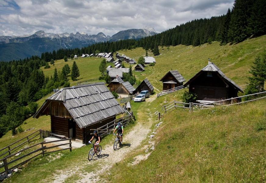 Villa Pokljuka زغورنجي المظهر الخارجي الصورة