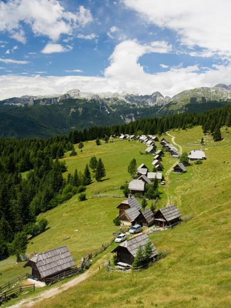 Villa Pokljuka زغورنجي المظهر الخارجي الصورة
