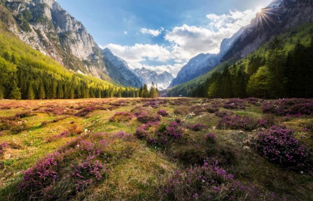 Villa Pokljuka زغورنجي المظهر الخارجي الصورة