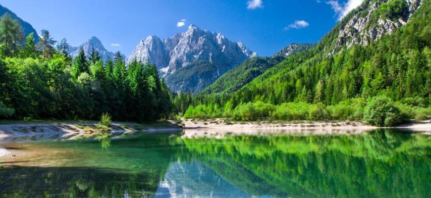 Villa Pokljuka زغورنجي المظهر الخارجي الصورة