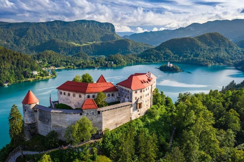 Villa Pokljuka زغورنجي المظهر الخارجي الصورة