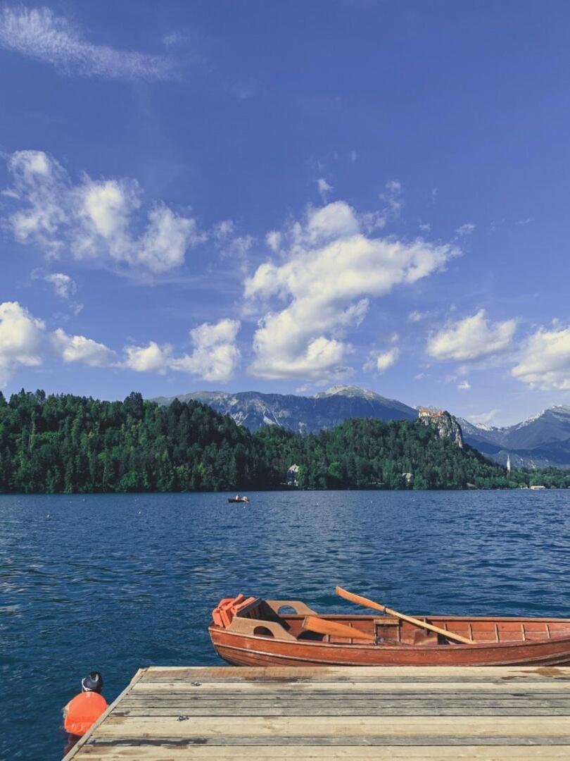 Villa Pokljuka زغورنجي المظهر الخارجي الصورة