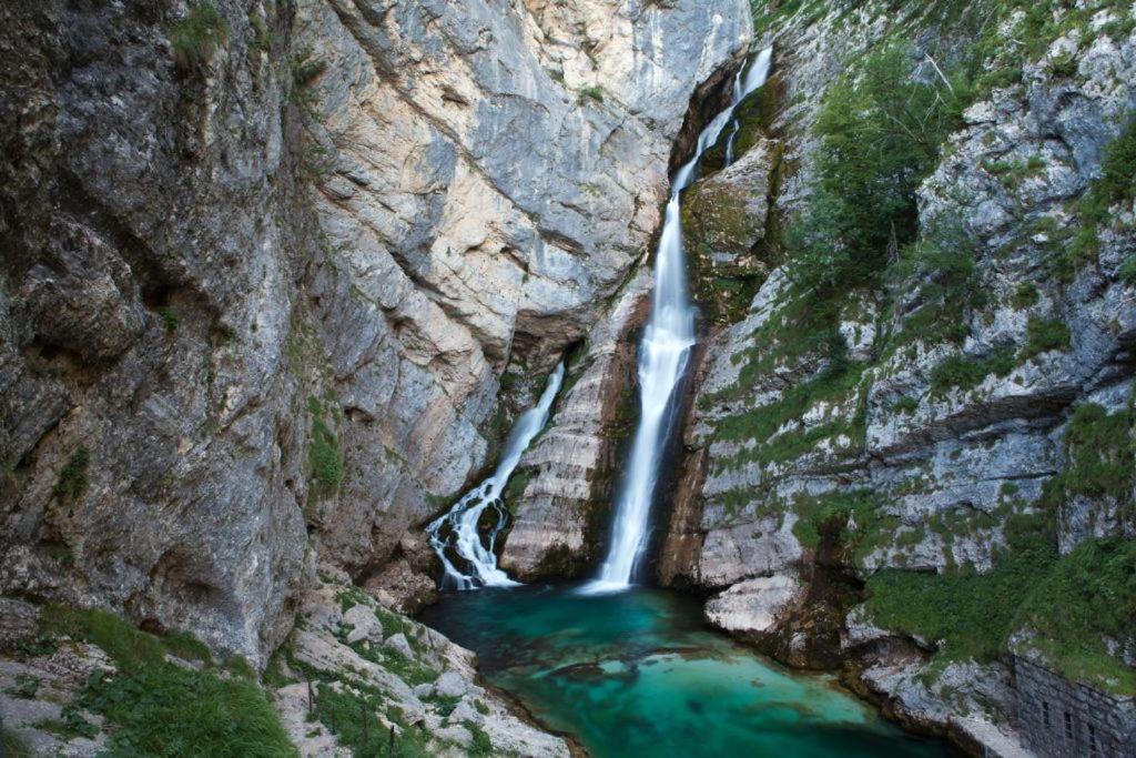 Villa Pokljuka زغورنجي المظهر الخارجي الصورة