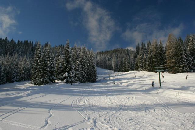 Villa Pokljuka زغورنجي المظهر الخارجي الصورة