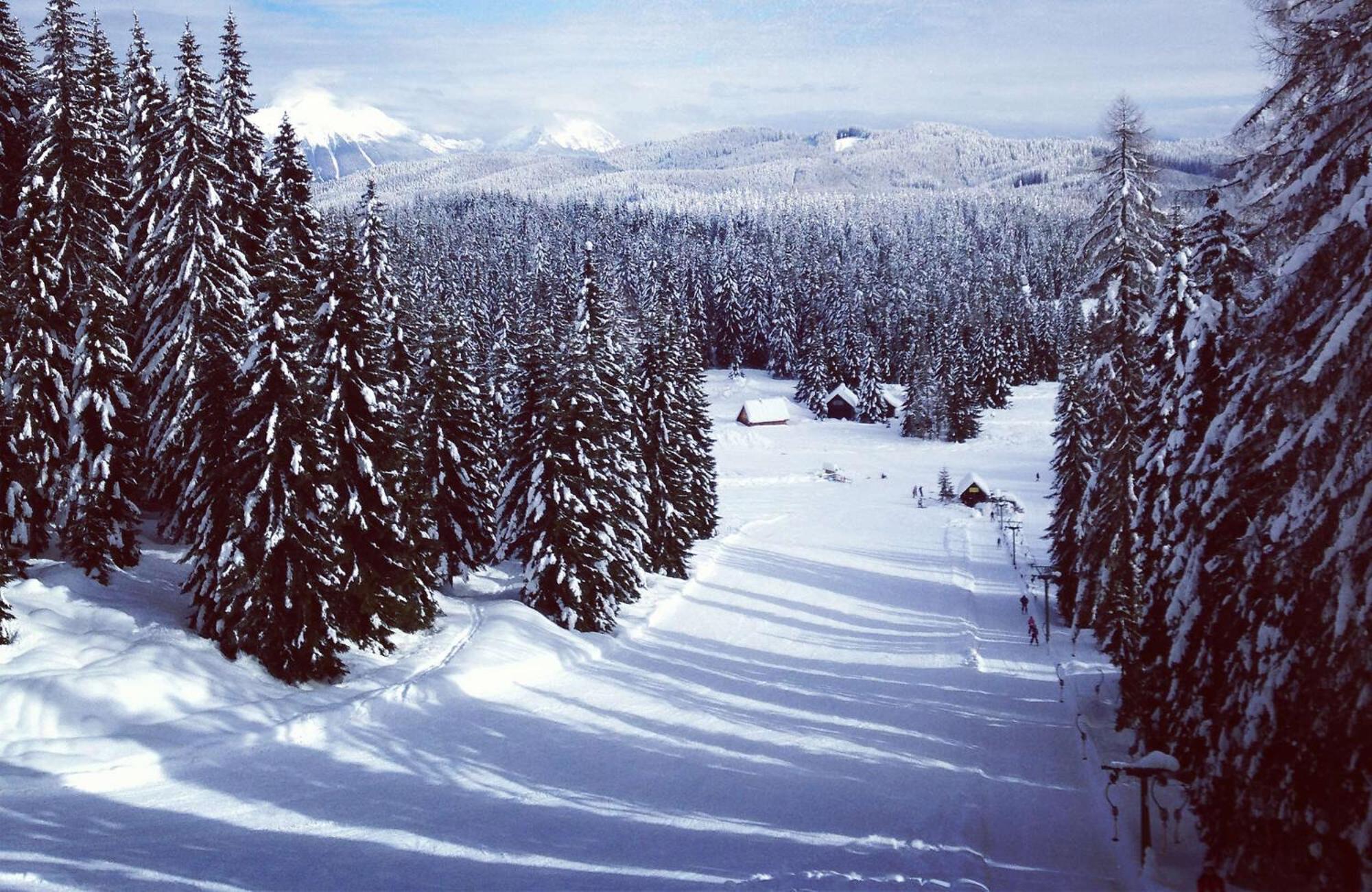 Villa Pokljuka زغورنجي المظهر الخارجي الصورة