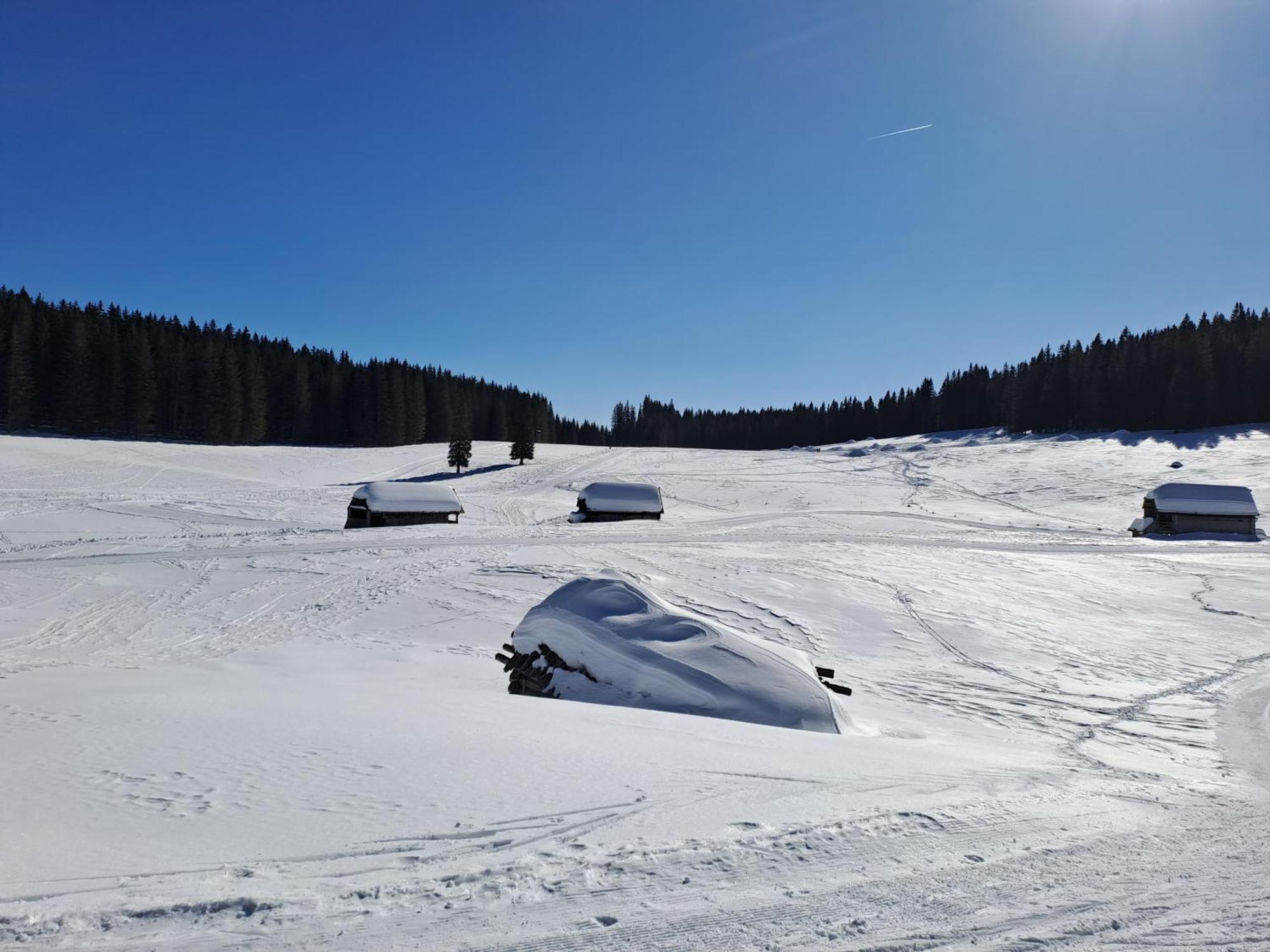 Villa Pokljuka زغورنجي المظهر الخارجي الصورة