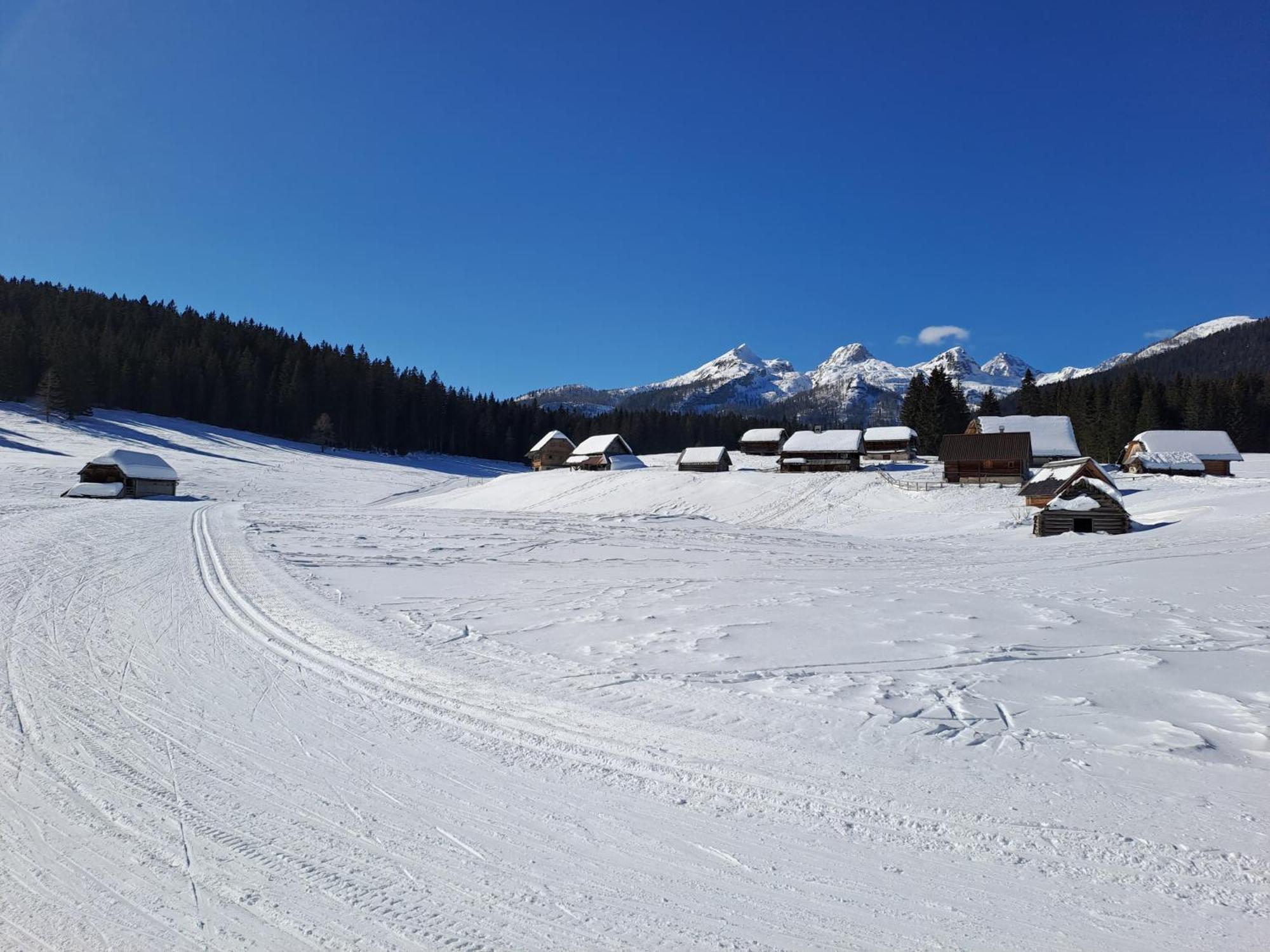 Villa Pokljuka زغورنجي المظهر الخارجي الصورة