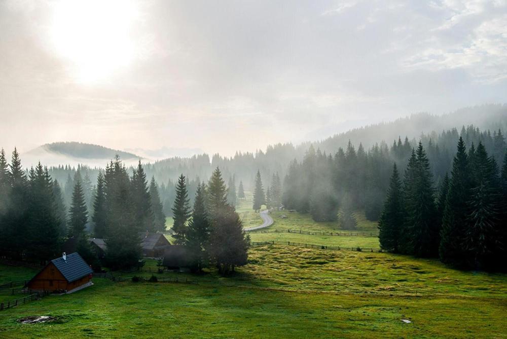 Villa Pokljuka زغورنجي المظهر الخارجي الصورة