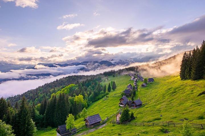 Villa Pokljuka زغورنجي المظهر الخارجي الصورة