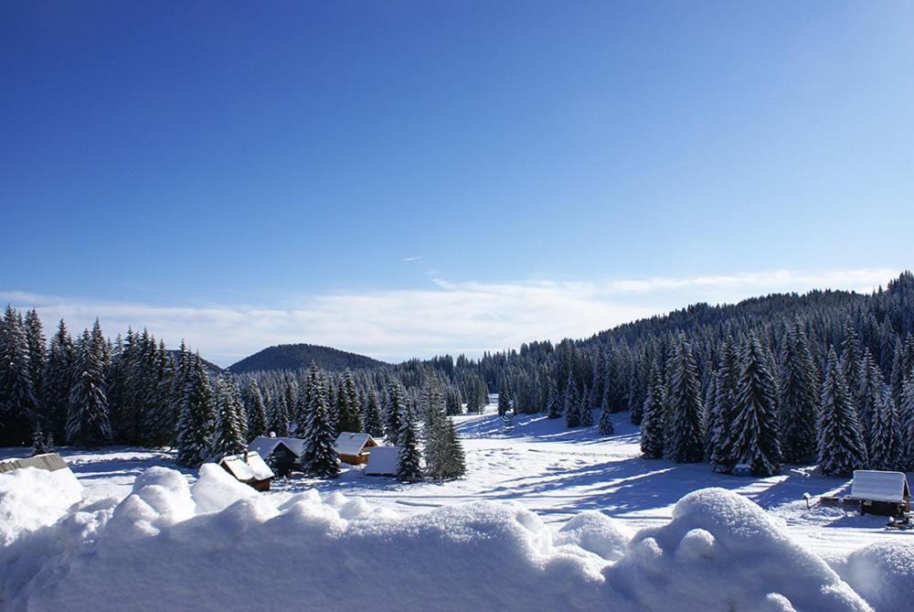Villa Pokljuka زغورنجي المظهر الخارجي الصورة