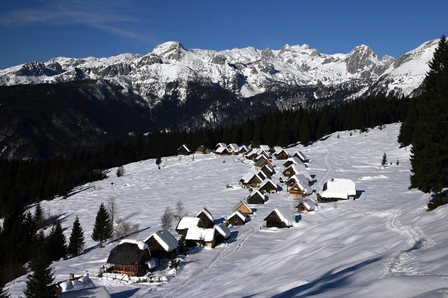 Villa Pokljuka زغورنجي المظهر الخارجي الصورة