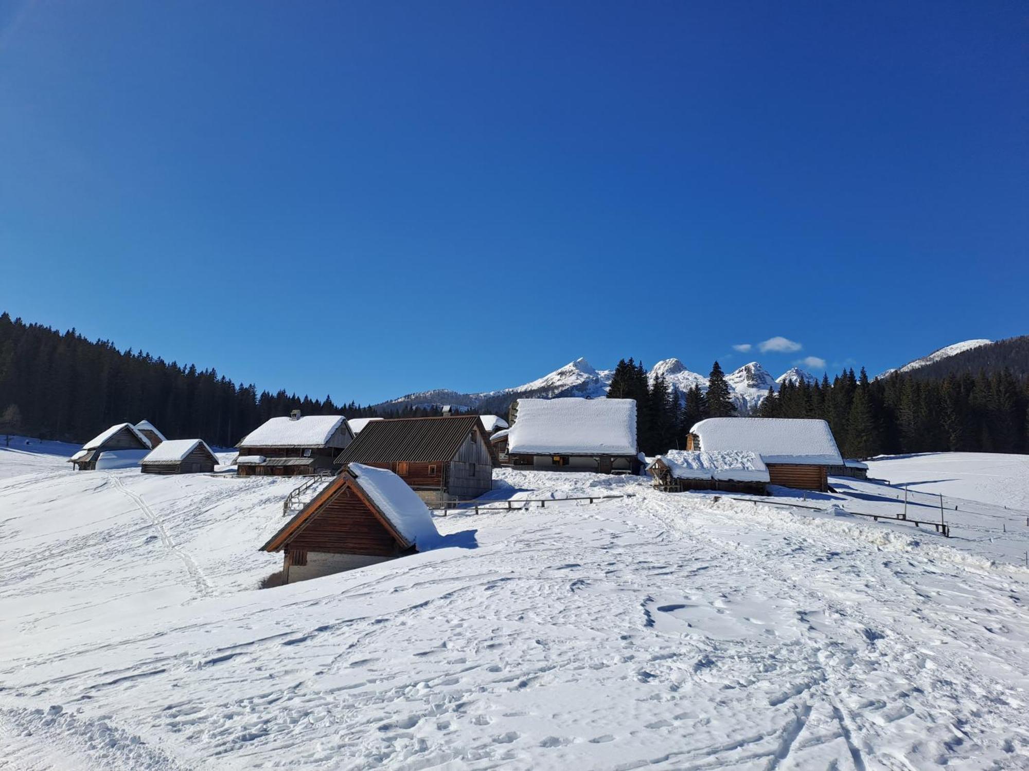 Villa Pokljuka زغورنجي المظهر الخارجي الصورة